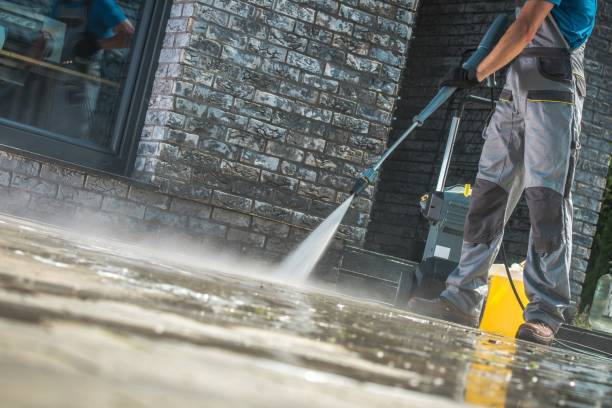 Best Animal Enclosure Cleaning  in Hallettsville, TX