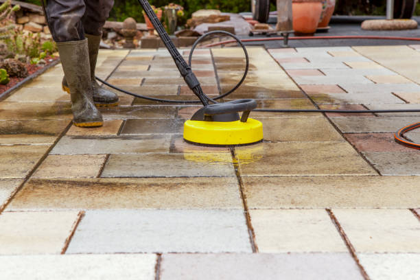 Best Solar Panel Cleaning  in Hallettsville, TX