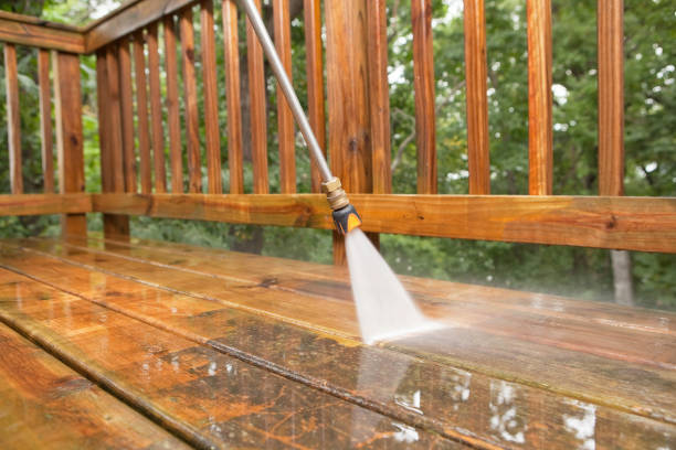 Best Pre-Holiday Cleaning  in Hallettsville, TX